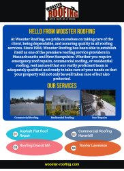 Asphalt Flat Roof Repair Meme Template
