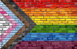 Pride flag with bricks Meme Template