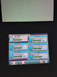 pokemon omega ruby team Meme Template