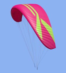 Paraglide Zoom X2C Meme Template