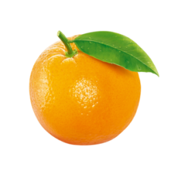 Orange Meme Template