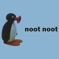 noot noot Meme Template