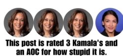 stupid Meme Template