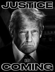 Donald Trump Justice Meme Template