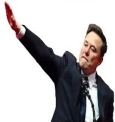 elon musk nazi Meme Template