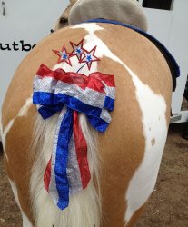 Horse tail ass patriotic USA Meme Template