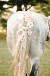 Horse tail ass flowers roses pink JPP Meme Template