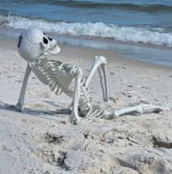 Beach skeleton Meme Template