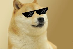 Doge w glasses Meme Template