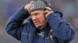 bill belichick Meme Template