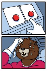 Bober Two Buttons Meme Template