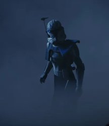 captain Rex Meme Template