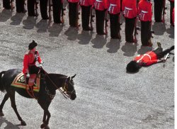 British troops inspection, soldier fainted passed out Meme Template