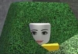 Want To Buy Some Lettuce? Meme Template