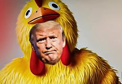 Chicken Trump Meme Template