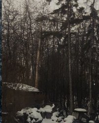 Near the Cabin. Meme Template