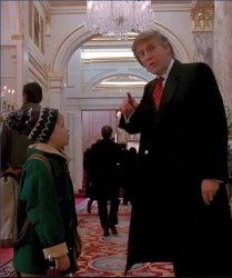 Pres. Trump in Home Alone [movie scene] Meme Template