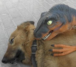 Dinosaurio amenaza perro Meme Template