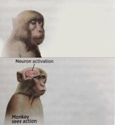 Neuron activation double panel Meme Template