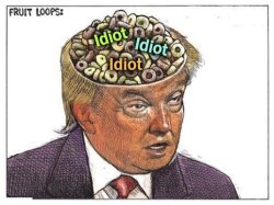 Trump fruit loops idiot ignorant stupid fool senile dementia Meme Template