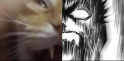 Cat and guts scream Meme Template