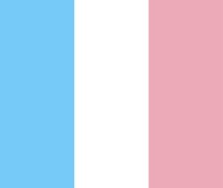 France trans flag Meme Template