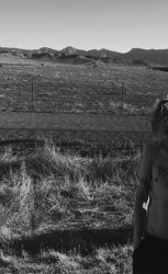 Field. Meme Template