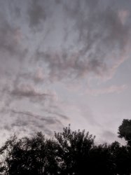 Clouds. Meme Template
