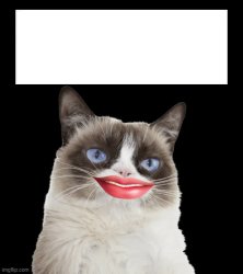 Grumpy Cat Smiling Meme Template