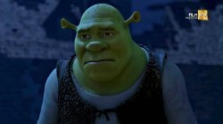 Sad shrek Meme Template