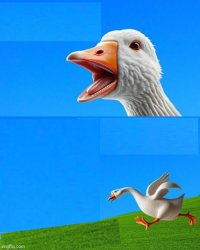 Angry Goose template Meme Template