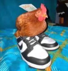 Chicken with shoes Meme Template