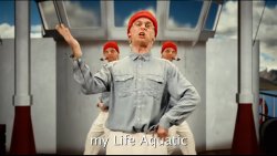 The Life Aquatic Meme Template