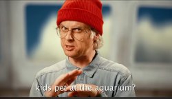 Kids Pet At The Aquarium Meme Template