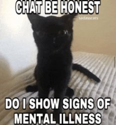 Chat be honest do I show signs of mental illness Meme Template