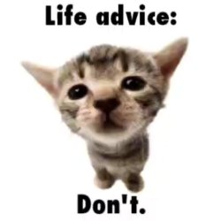 Life advice: Don't Meme Template