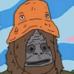 Funny hat sassy Meme Template