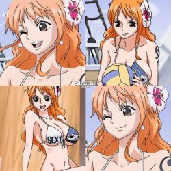 nami faces Meme Template