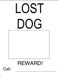 Lost dog Meme Template