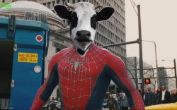 Spider cow Meme Template