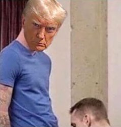 Giving Trump a BJ Meme Template