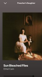 Ethel Cain. Meme Template