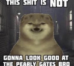 This Shit Is Not Gonna Look Good At The Pearly Gates Bro Meme Template