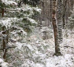 Winter. Meme Template