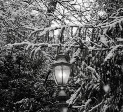 Streetlight in Winter. Meme Template