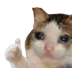 cat thumbsup Meme Template