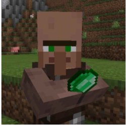 Villager Pays Meme Template