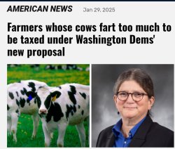 Farting cows Meme Template