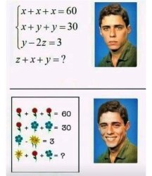 Flower Math Problem Meme Template