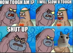 Salty spitoon or splatoon Meme Template